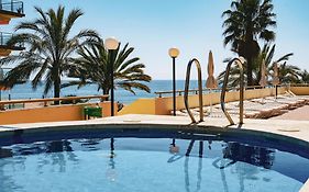 Htop Royal Sun #Htopfun